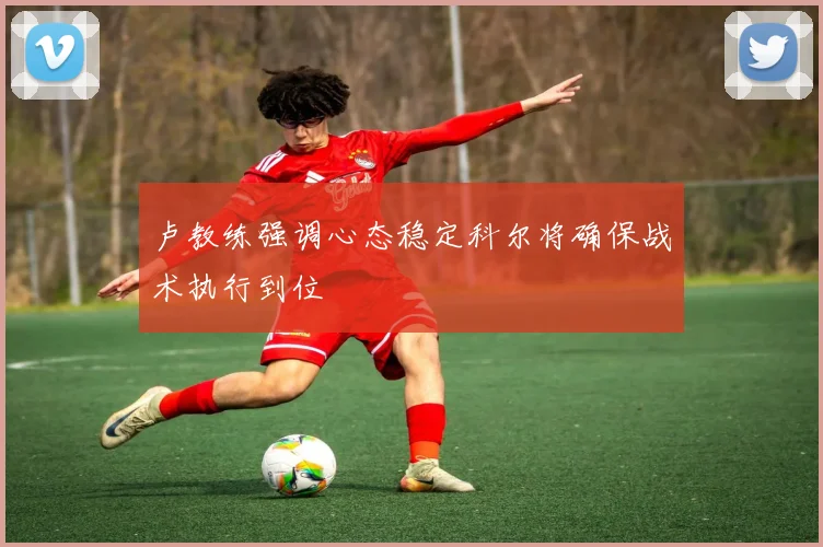 卢教练强调心态稳定科尔将确保战术执行到位